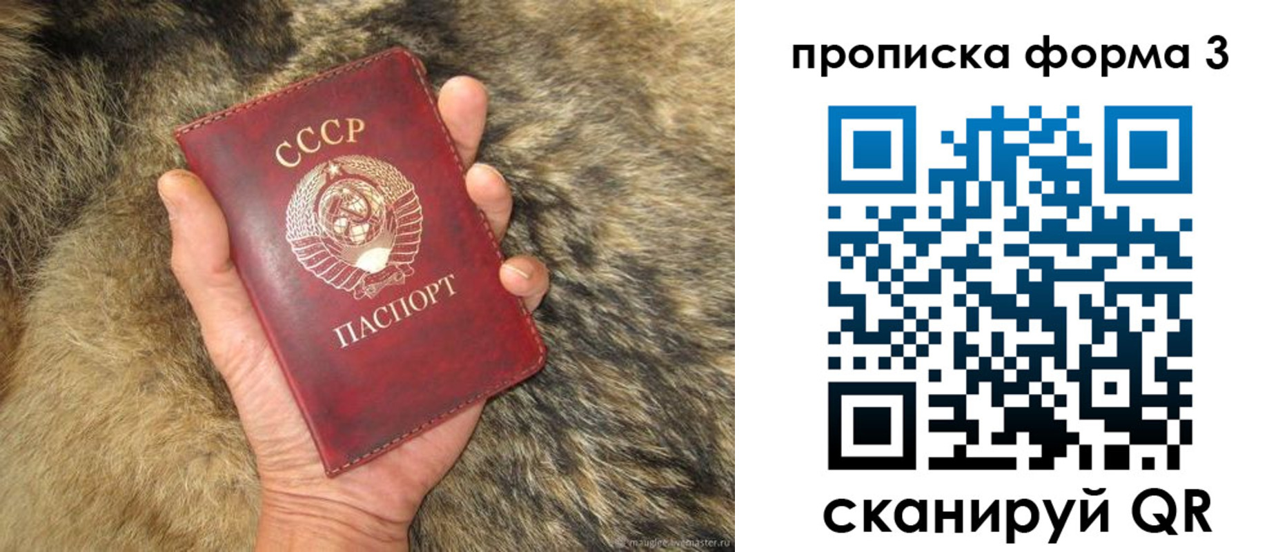 прописка в квартире в Павловском Посаде